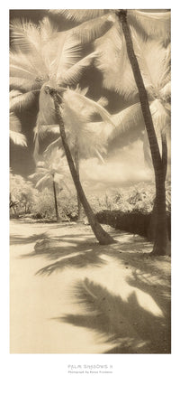 PGM FNS 45 Susan Friedman Palm Shadows II Art Print 45x99cm | Yourdecoration.com