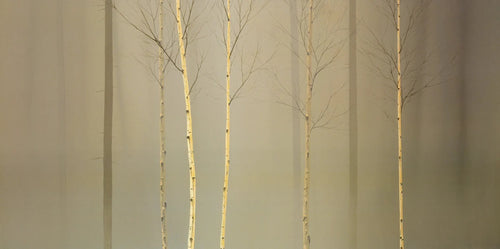 PGM MGD 212 Ged Mitchell Winterlely Wood Art Print 100x50cm | Yourdecoration.com