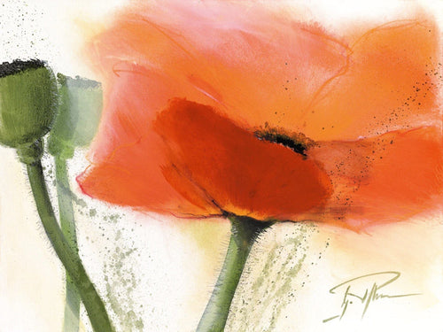 PGM PMG 03 Gerd Pflumm Faszination Mohn III Art Print 80x60cm | Yourdecoration.com