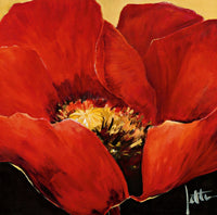 PGM RMJ 236 Jettie Roseboom Red Beauty II Art Print 70x70cm | Yourdecoration.com