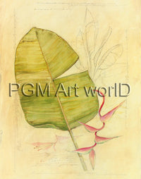 PGM TNA 52 Avery Tillmon Botanical Journal I Art Print 56x71cm | Yourdecoration.com