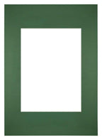 Passe Partout 20x28cm Carton Green Forest Edge Straight Front | Yourdecoration.com