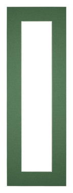 Passe Partout 20x60cm Carton Green Forest Edge 5cm Straight Front | Yourdecoration.com