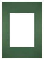 Passe Partout 21x297cm Carton Green Forest Edge Straight Front | Yourdecoration.com