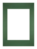 Passe Partout 297x42cm A3/A4 Carton Green Forest Edge Straight Front | Yourdecoration.com