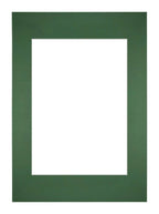 Passe Partout 297x42cm A3/A4 Carton Green Forest Edge Straight Front | Yourdecoration.com