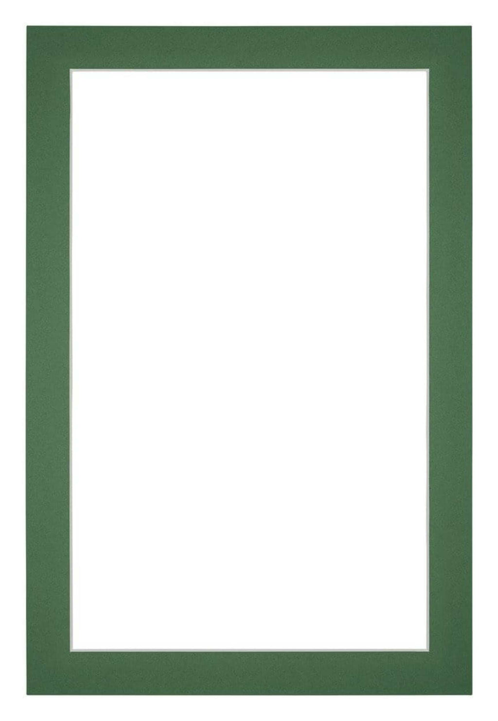 Passe Partout 61x915cm Carton Green Forest Edge 3cm Straight Front | Yourdecoration.com