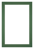 Passe Partout 61x915cm Carton Green Forest Edge 3cm Straight Front | Yourdecoration.com