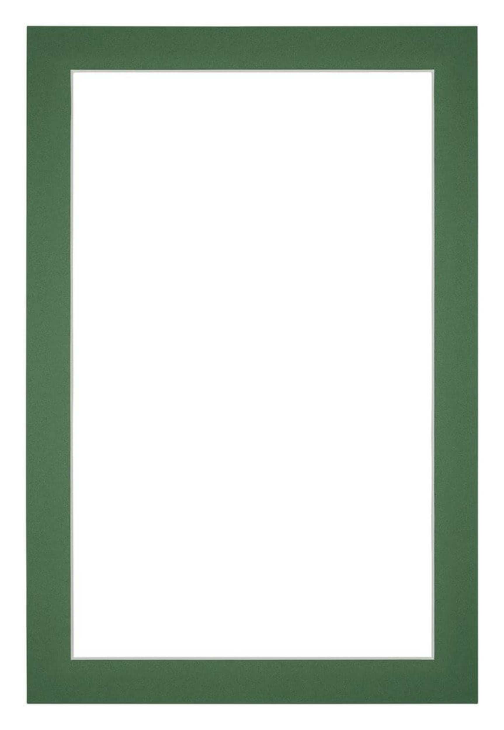 Passe Partout 61x915cm Carton Green Forest Edge 3cm Straight Front | Yourdecoration.com
