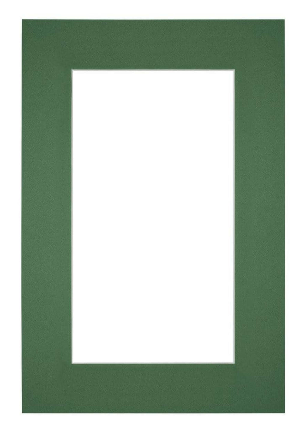 Passe Partout 61x915cm Carton Green Forest Edge 6cm Straight Front | Yourdecoration.com