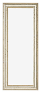 Photo Frame 20x60cm Metallic Gloss MDF Lazio Front | Yourdecoration.com