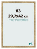 Photo Frame 29 7x42cm A3 Gold Antique MDF Bologna Front Size | Yourdecoration.com