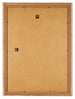 Photo Frame 29 7x42cm A3 Gold Antique MDF Lazio Back | Yourdecoration.com