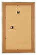 Photo Frame 30x50cm Gold Antique MDF Lazio Back | Yourdecoration.com