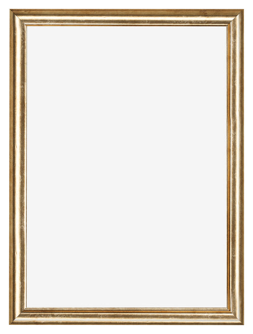 Photo Frame 42x60cm Gold Antique MDF Lazio Front | Yourdecoration.com