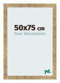 Photo Frame 50x75cm Gold Antique MDF Bologna Front Size | Yourdecoration.com