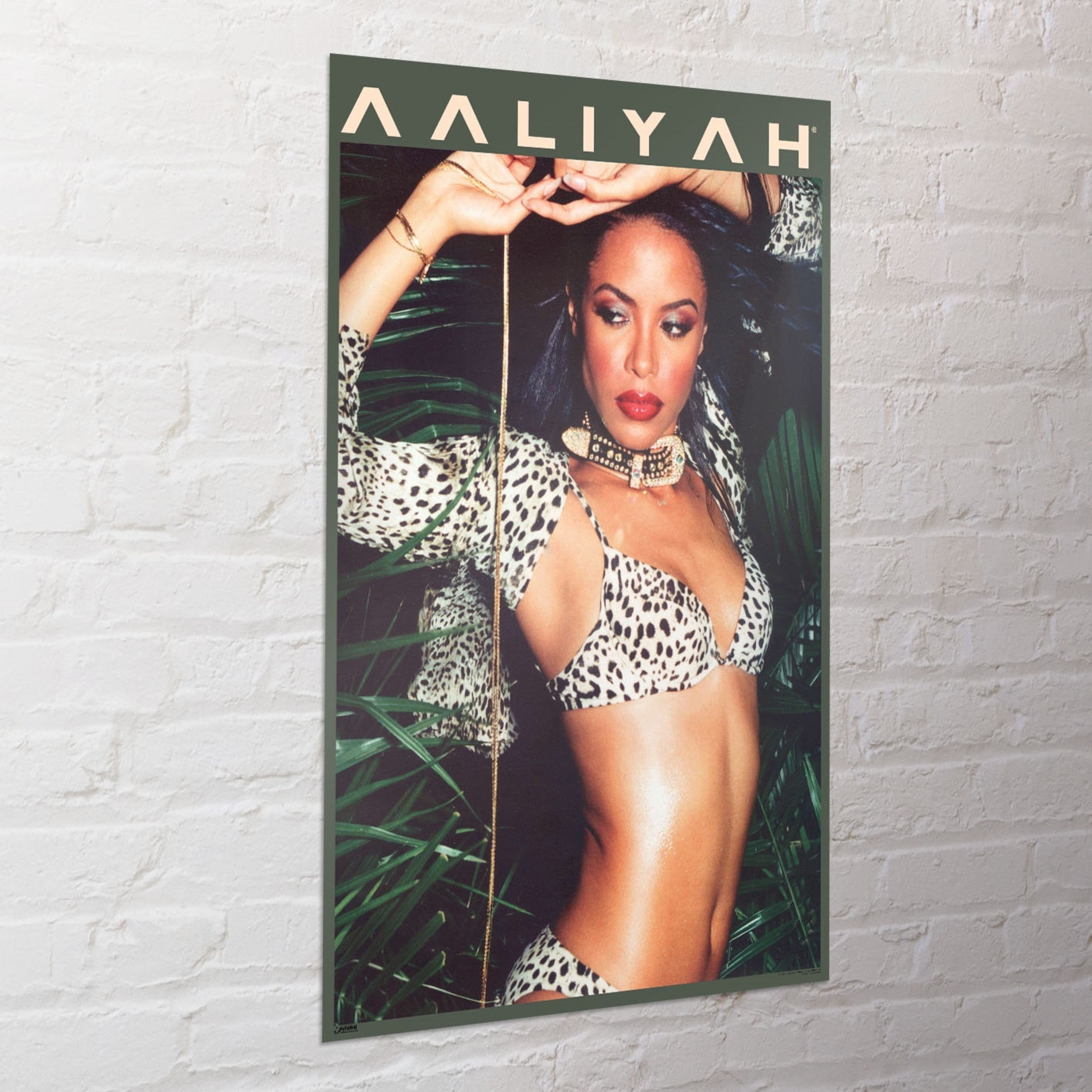 Poster Aaliyah 61x91 5cm WPSX054 Sfeer | Yourdecoration.com