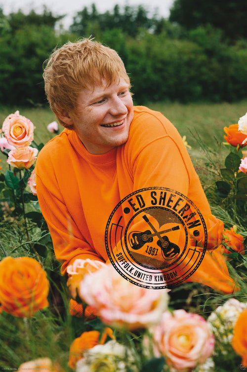 Poster Ed Sheeran Rose Field 61x91 5cm Abystyle GBYDCO396 | Yourdecoration.com