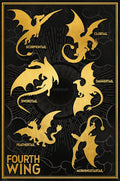 Poster Fourth Wing Dragons 61x91 5cm GBYDCOA048 | Yourdecoration.com