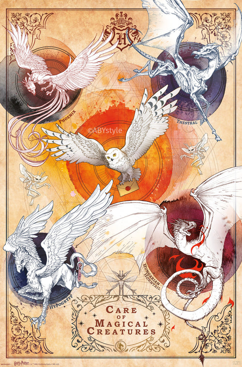 Poster Harry Potter Magical Creatures 61x91 5cm GBYDCOA031 | Yourdecoration.com