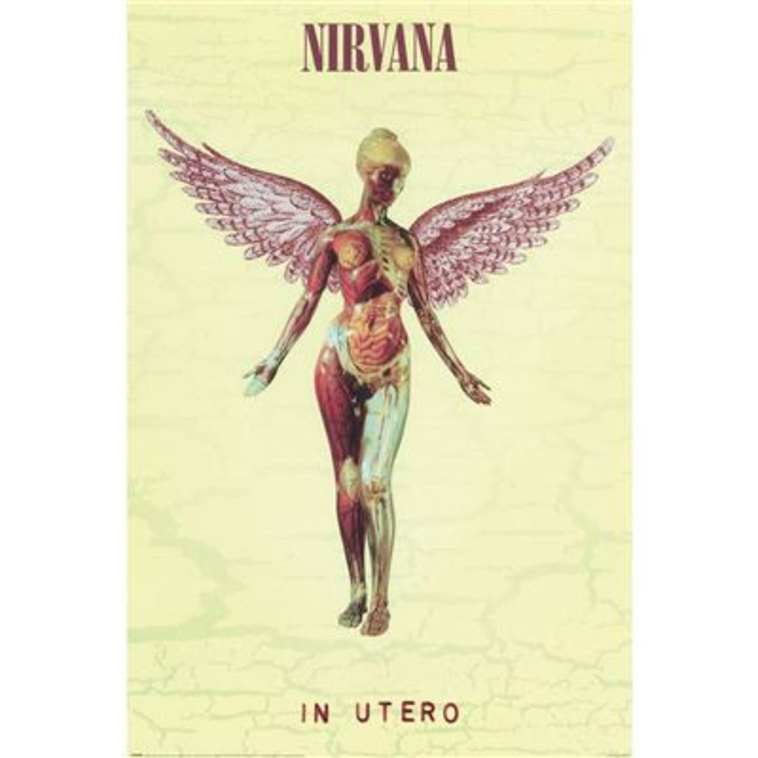 Poster Nirvana In Utero 61x91 5cm PP35113 | Yourdecoration.com
