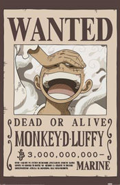 Poster One Piece Wanted Luffy 61x91 5cm PP2501058 | Yourdecoration.com