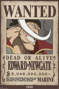 Poster One Piece Wanted Whitebeard 61x91 5cm GBYDCO596 | Yourdecoration.com