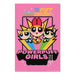 Poster Powerpuff Girls 61x91 5cm GPE5965 | Yourdecoration.com