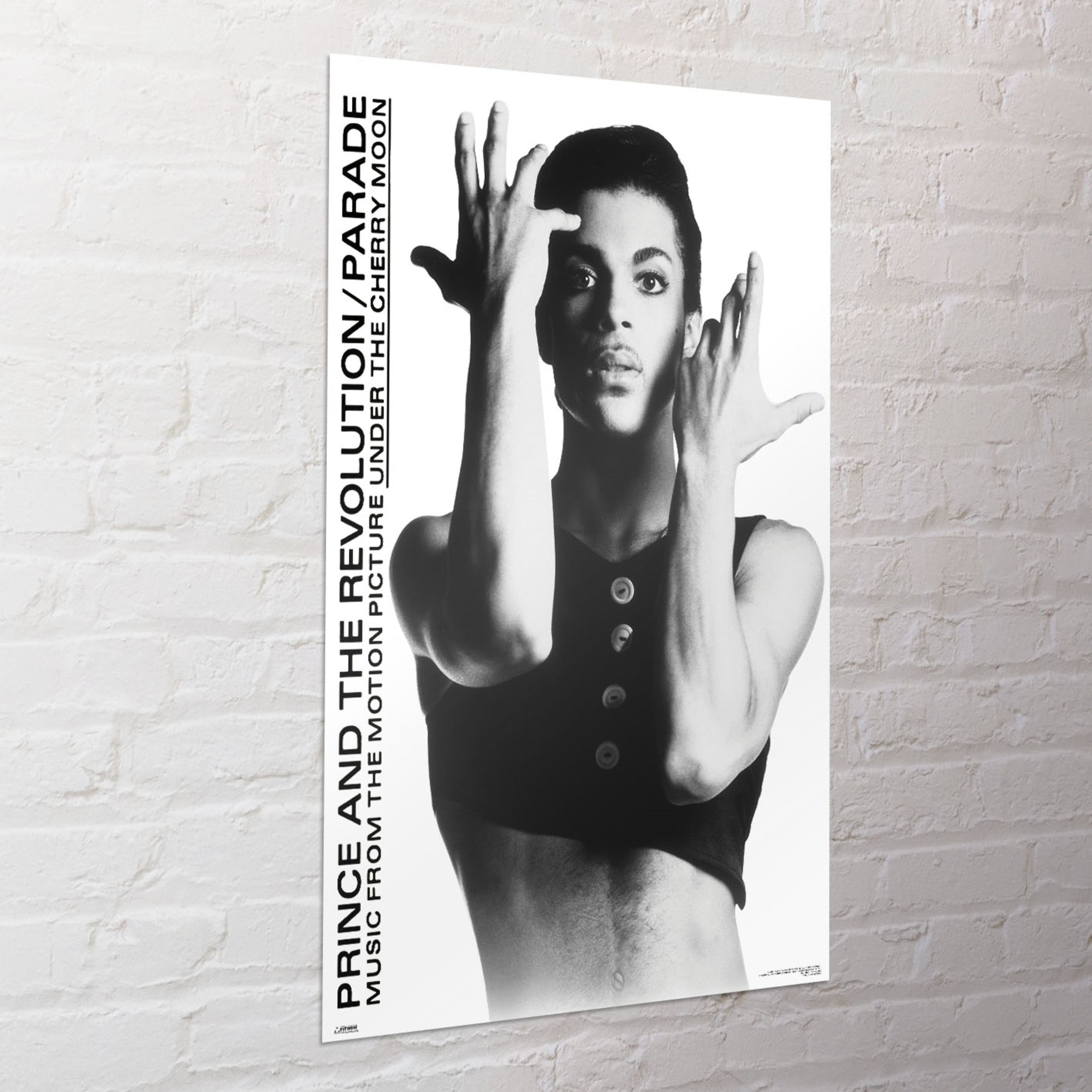 Poster Prince 61x91 5cm WPSX056 Sfeer | Yourdecoration.com