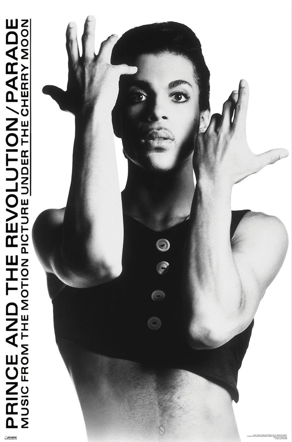 Poster Prince 61x91 5cm WPSX056 | Yourdecoration.com