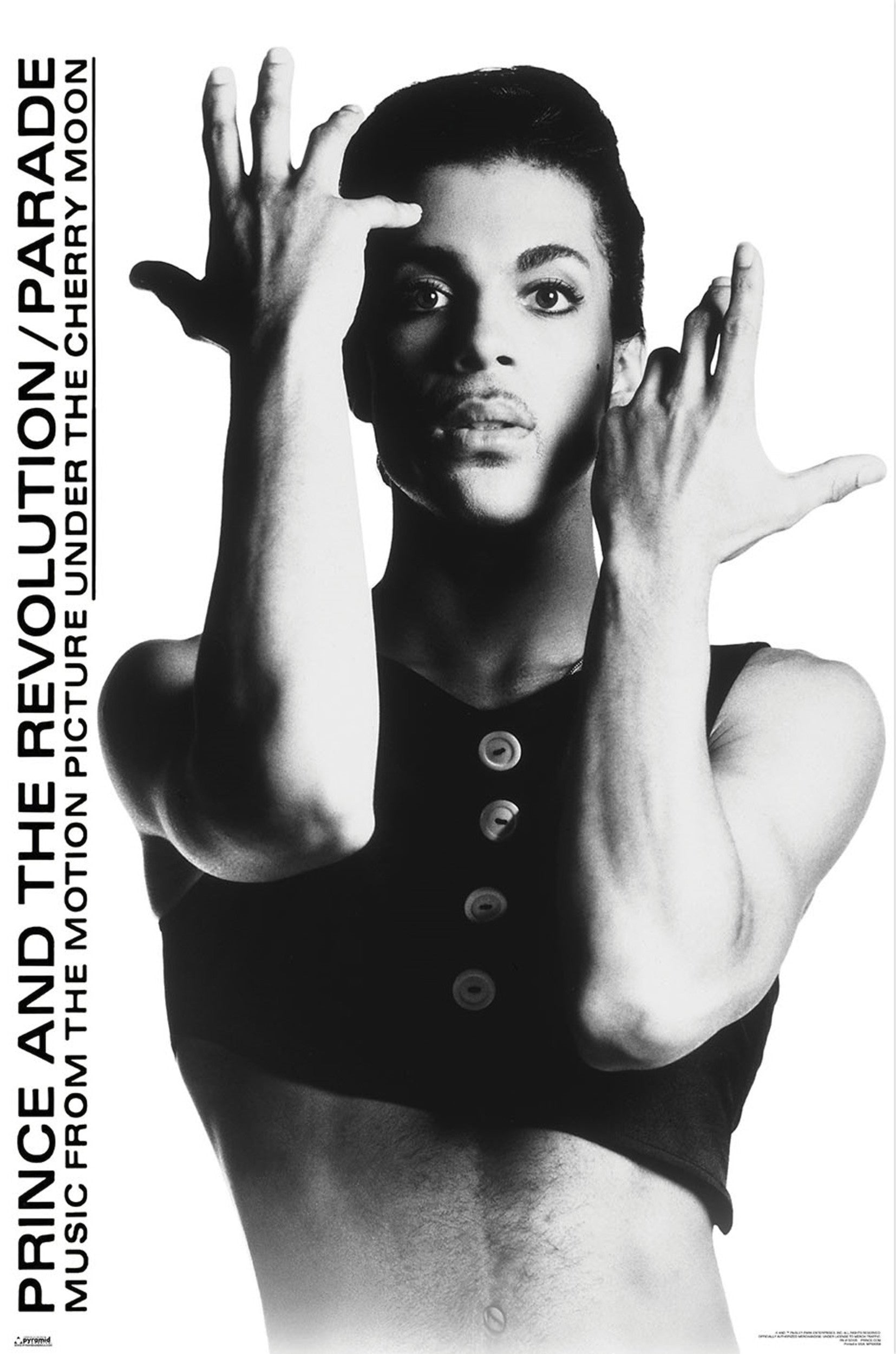 Poster Prince 61x91 5cm WPSX056 | Yourdecoration.com
