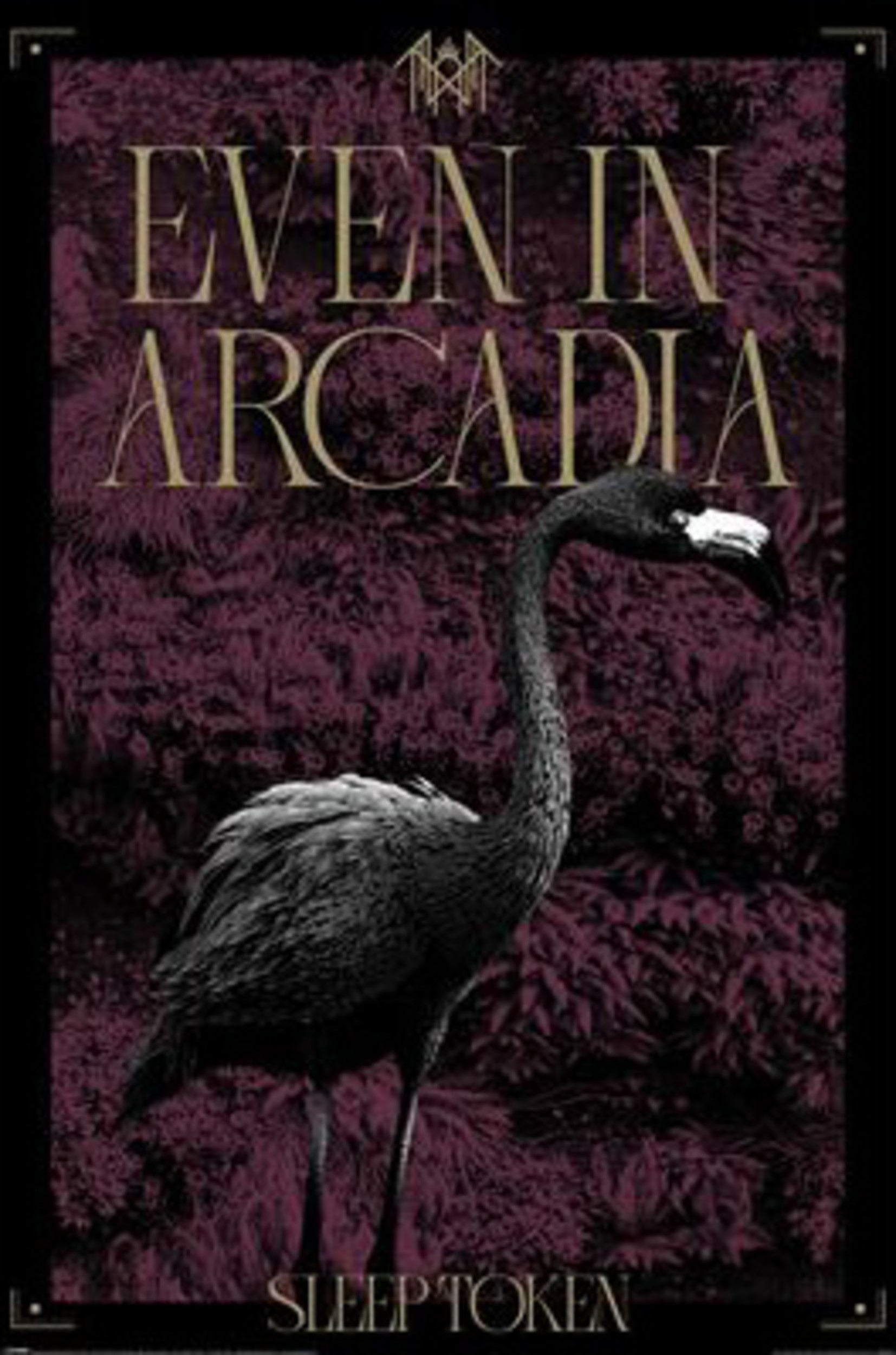 Poster Sleep Token Arcadia 61x91 5cm PP2501072 | Yourdecoration.com