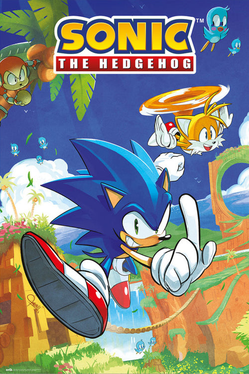 Poster Sonic The Hedgehog And Tails xcm Grupo Erik GPE5798 | Yourdecoration.com