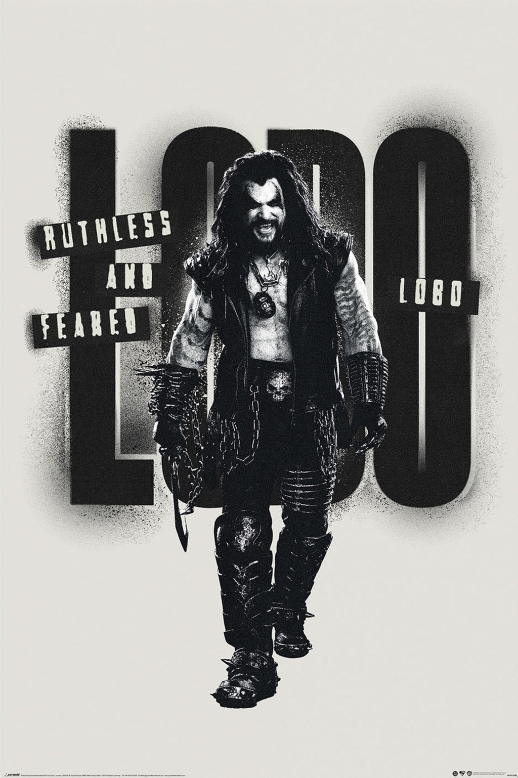 Poster Supergirl Movie Lobo 61x91 5cm PP2512028 | Yourdecoration.com