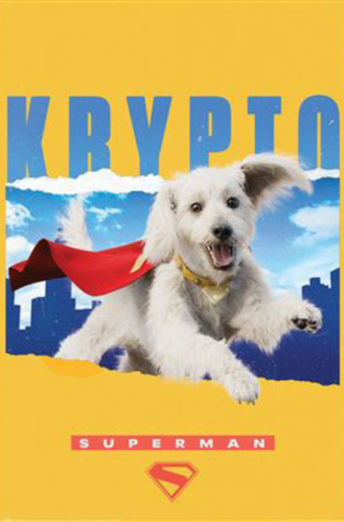 Poster Superman Krypto 61x91 5cm PP2500425 | Yourdecoration.com