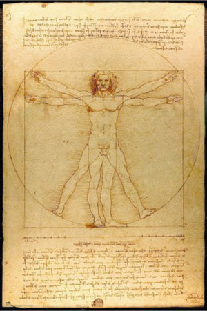 Poster Vitruvian Man 61x91 5cm Grupo Erik GPE5819 | Yourdecoration.com