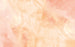 Wall Mural Candy Peach 400x250cm FLX8 001 | Yourdecoration.com