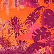 Wall Mural Funky Jungle 250x250cm Komar FLX5 049 | Yourdecoration.com