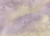 Wall Mural Lavender clouds 350x250cm FLX7 009 | Yourdecoration.com