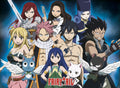 Fairy Tail Group 2 Poster 52X38cm | Yourdecoration.com
