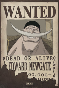 One Piece Wanted Edward Newgate Poster 35X52cm | Yourdecoration.com