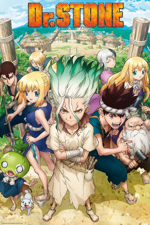 Dr Stone Groupe Poster 61X91 5cm | Yourdecoration.com