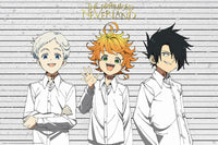 Abystyle ABYDCO844 The Promised Neverland Emma Poster 91-5x61cm | Yourdecoration.com