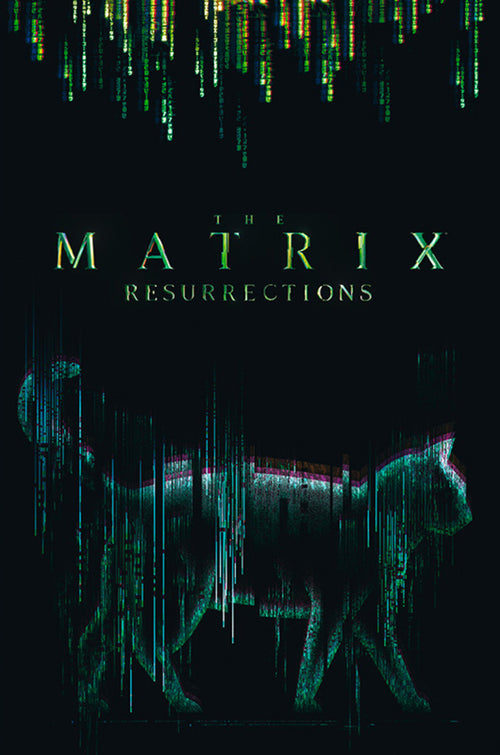Abystyle Abydco864 The Matrix Cat Poster 61x91,5cm | Yourdecoration.com