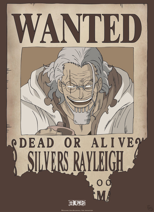 Abystyle Gbydco268 One Piece Wanted Rayleigh Poster 38x52cm | Yourdecoration.com