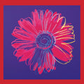 Andy Warhol Daisy 1982 Art Print 90x90cm | Yourdecoration.com