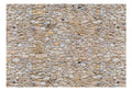Wall Mural - Pebbles 400x280cm - Non-Woven Murals
