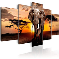 Canvas Print Elephant Migration 5 Panels 200x100cm