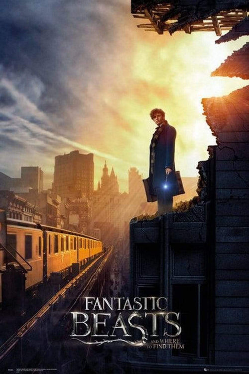 GBeye Fantastic Beasts One Sheet 2 Poster 61x91,5cm | Yourdecoration.com