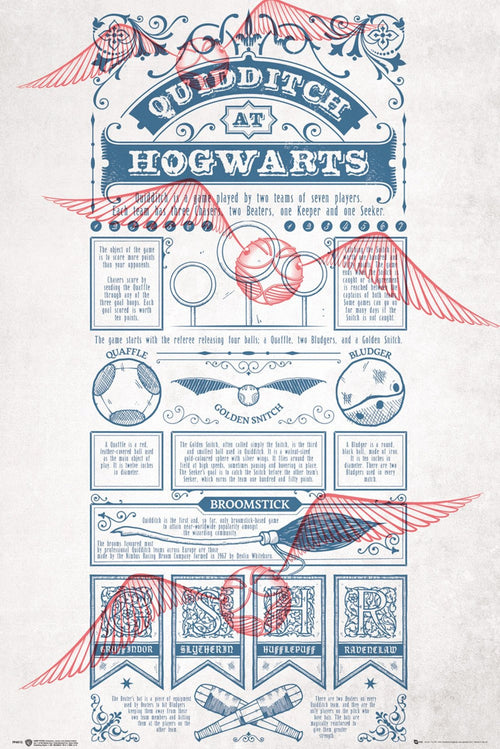 Gbeye Harry Potter Quidditch At Hogwarts Poster 61X91 5cm | Yourdecoration.com